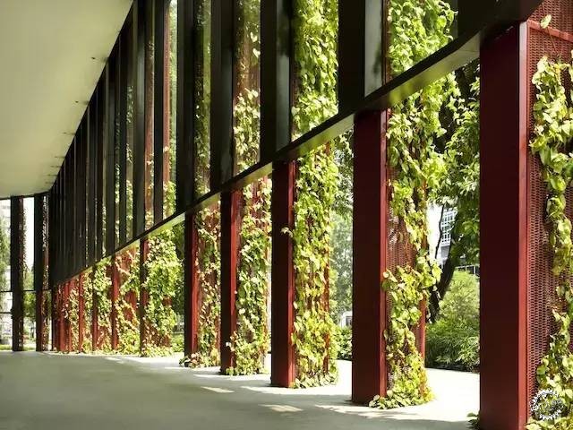 新加坡的生態(tài)建筑專業(yè)戶，又建了一個(gè)長滿綠植的酒店第15張圖片
