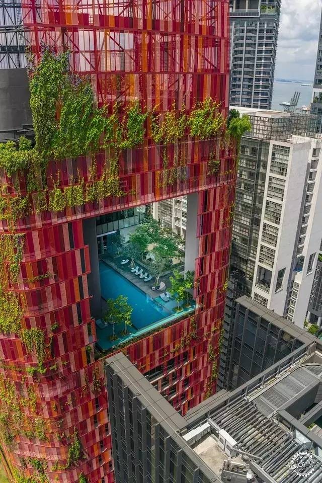 新加坡的生態(tài)建筑專業(yè)戶，又建了一個(gè)長滿綠植的酒店第11張圖片