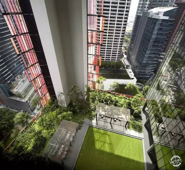 新加坡的生態(tài)建筑專業(yè)戶，又建了一個(gè)長滿綠植的酒店第13張圖片
