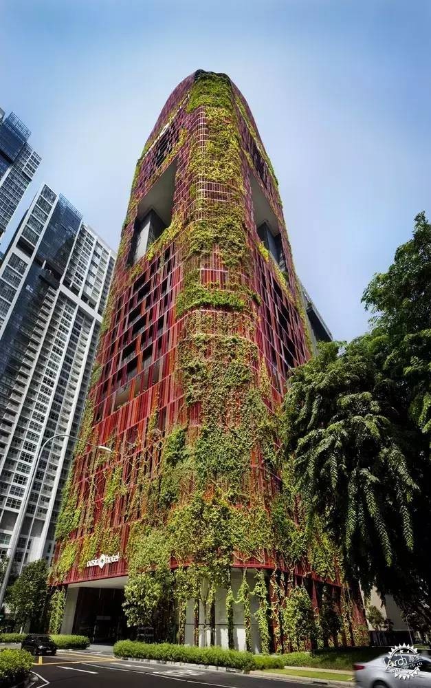 新加坡的生態(tài)建筑專業(yè)戶，又建了一個(gè)長滿綠植的酒店第7張圖片